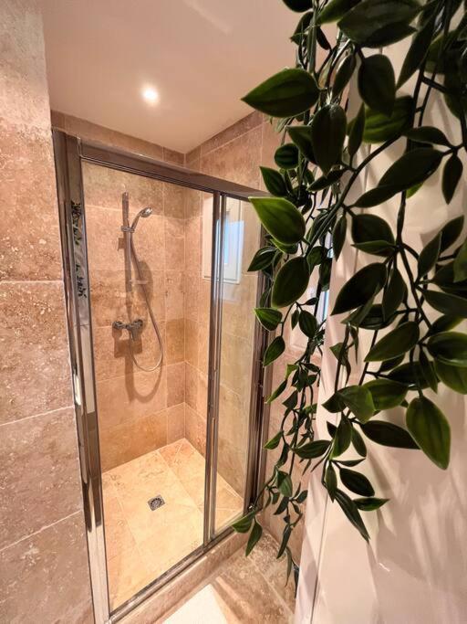 Grand Appartement 3 Chambres A 300M De La Plage Sainte-Maxime Dış mekan fotoğraf